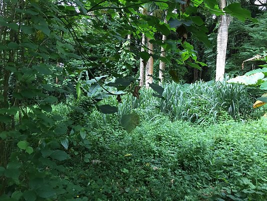 HI50 S6 2015-08-21 16.27.55