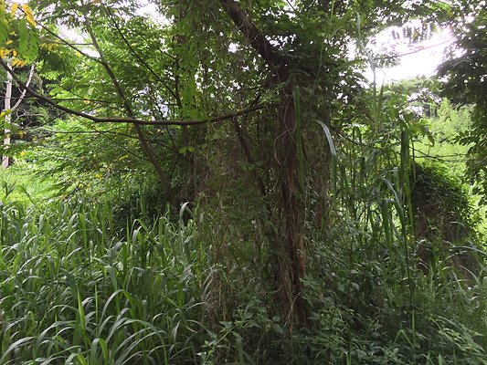 HI50 S6 2015-08-21 16.23.33