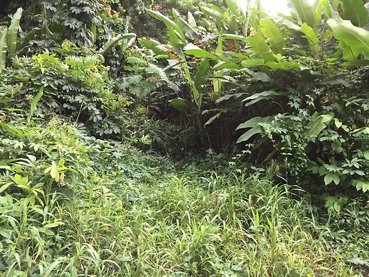 HI50 S6 2015-08-21 16.25.18