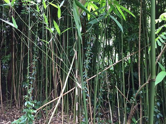 HI50 S6 2015-08-21 16.09.17