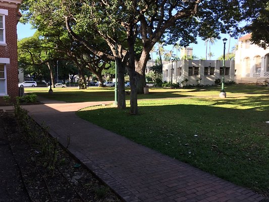 HI50 S6 2016-01-19 09.15.49