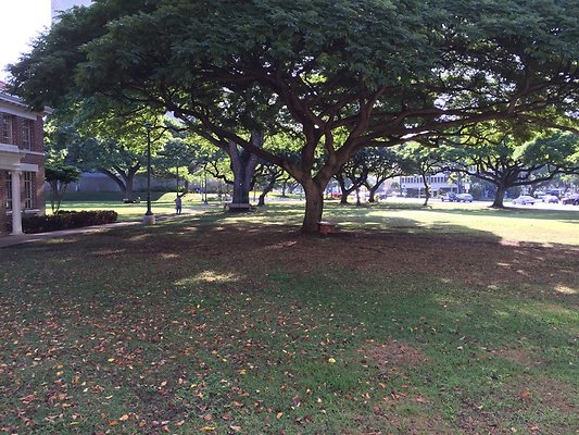 HI50 S6 2016-01-19 09.18.37