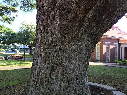 HI50 S6 2016-01-19 09.12.33