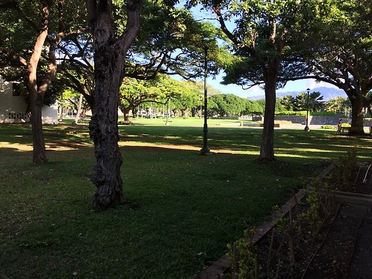 HI50 S6 2016-01-19 09.15.53