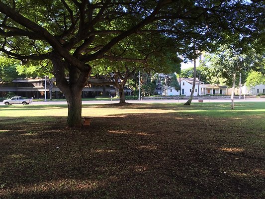 HI50 S6 2016-01-19 09.21.17