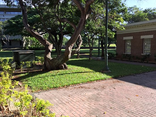 HI50 S6 2016-01-19 09.24.55