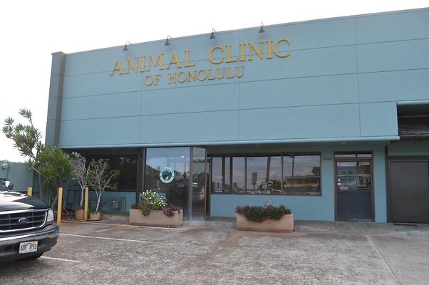 Animal Clinic of Honolulu Dr Matt Leara 8087340255
