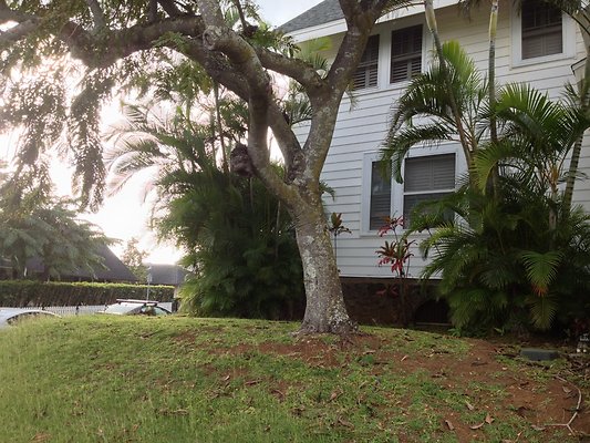 th 2014-02-13 16.27.40 HDR