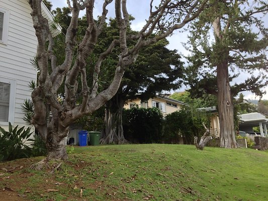 th 2014-02-13 16.27.53 HDR