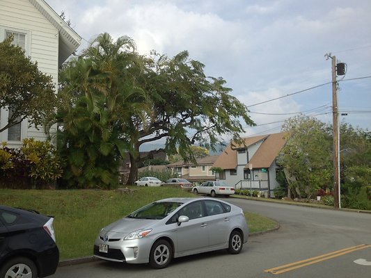 th 2014-02-13 16.45.27 HDR