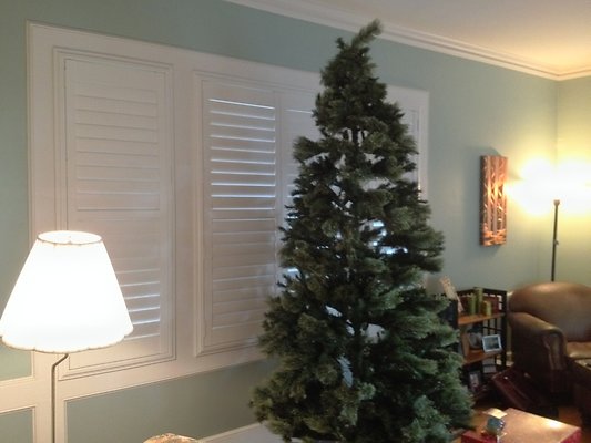 th 2014-02-13 16.31.28 HDR