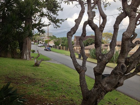 th 2014-02-13 16.28.16 HDR