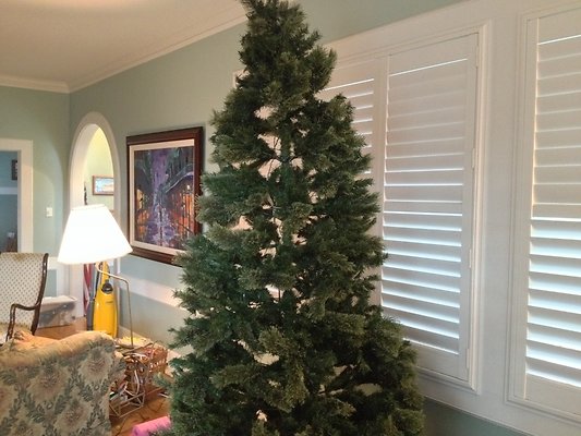 th 2014-02-13 16.33.00 HDR