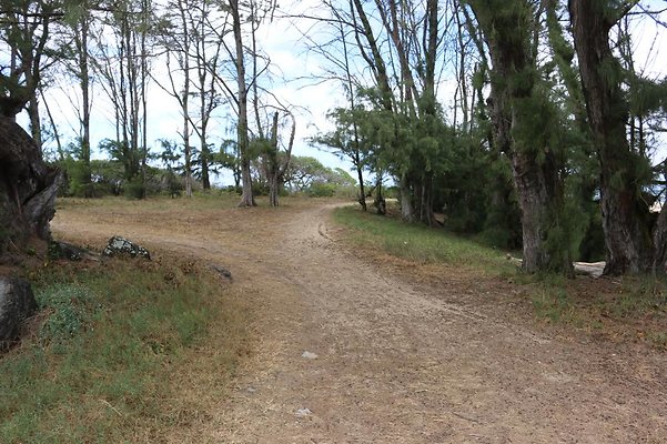 21 Acre Leased Woods