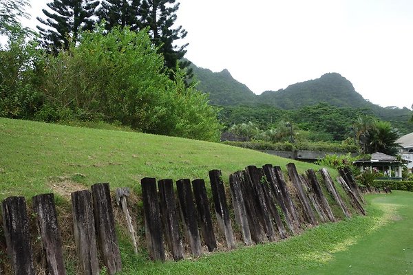 Practice Green - Driving Range
