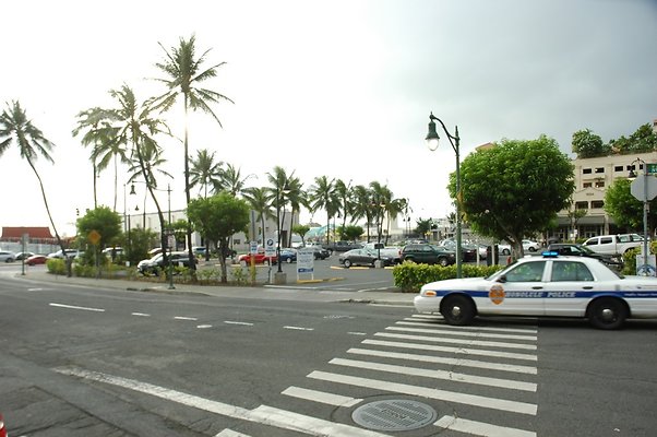 HI50 S5 murphys DSC 2538
