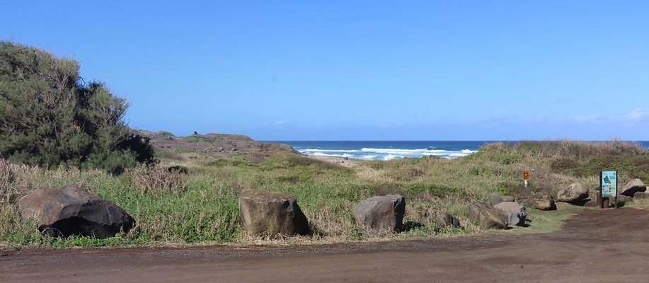 th IMG 1384 IMG 1386