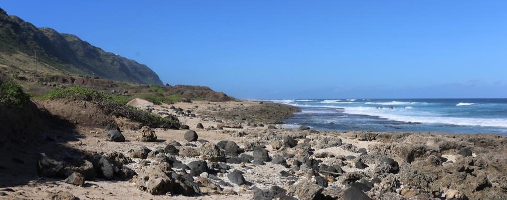 th IMG 1436 IMG 1438