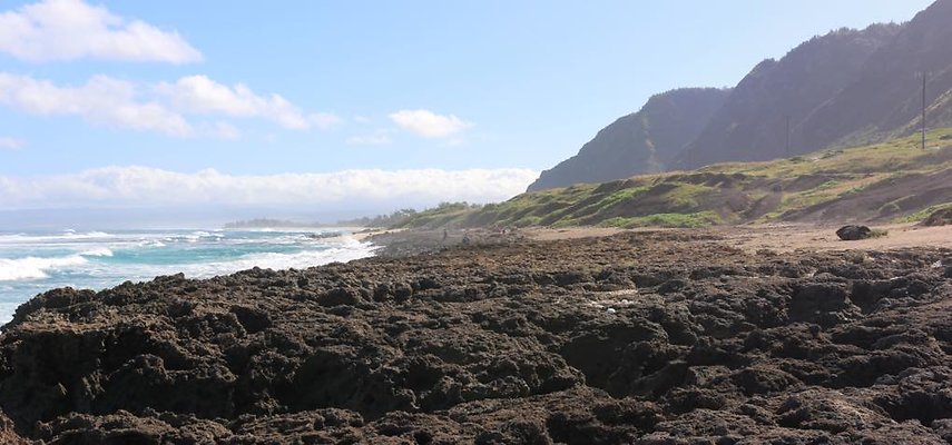 th IMG 1477 IMG 1478