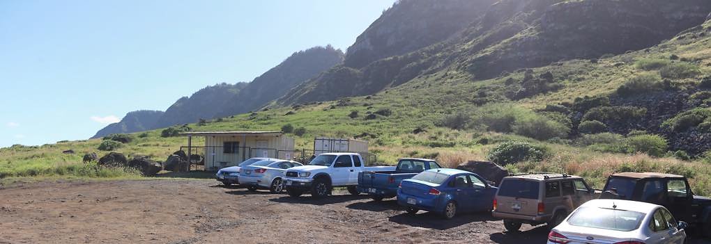 th IMG 1536 IMG 1538