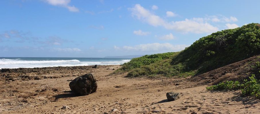 th IMG 1443 IMG 1445