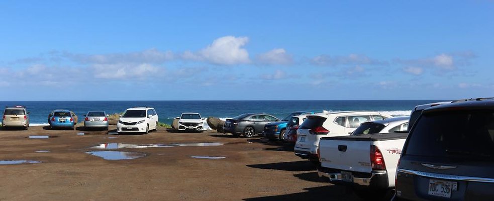 th IMG 1391 IMG 1393