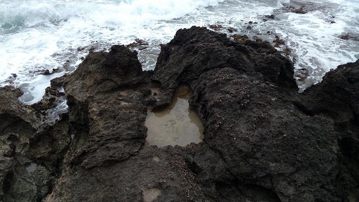 th IMG 20160723 074816131