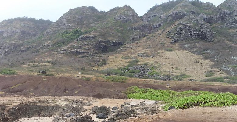 th Mokuleia 02 Reverse