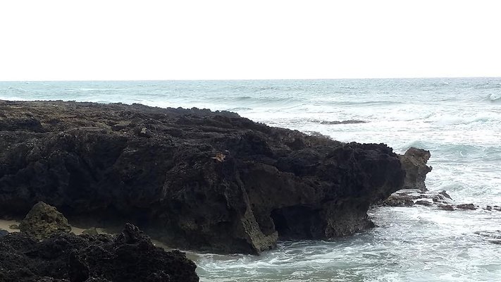 th IMG 20160723 075322279 TOP