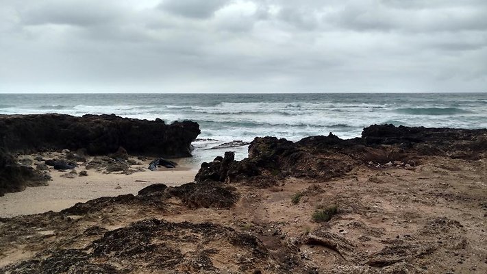 th IMG 20160723 075418979 HDR