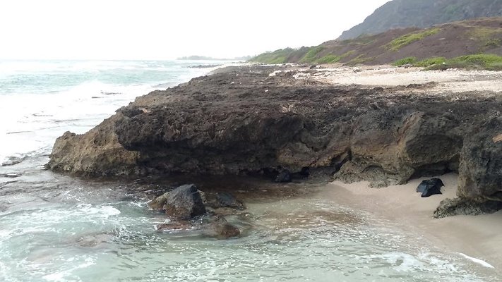 th IMG 20160723 074757729