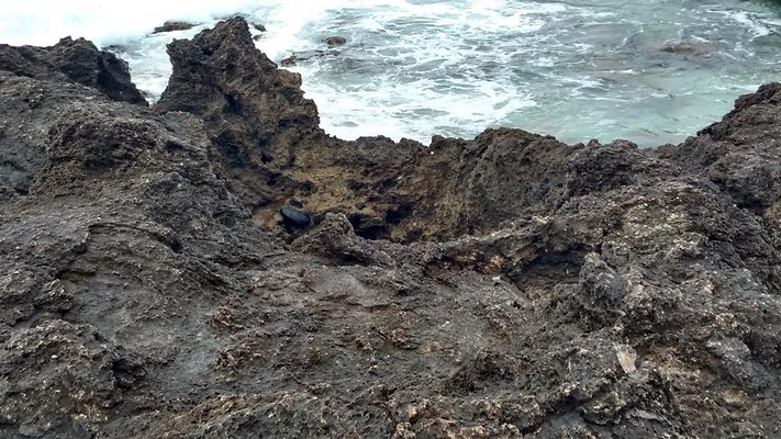 th IMG 20160723 074742561 HDR (1)