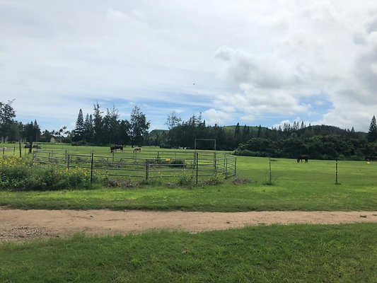 th D617A3BE-8906-4806-A0B3-BDB354D0136D