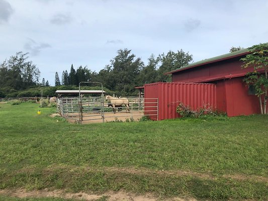 th D7736D03-9E4C-48A2-9A68-A3BE922A22CF