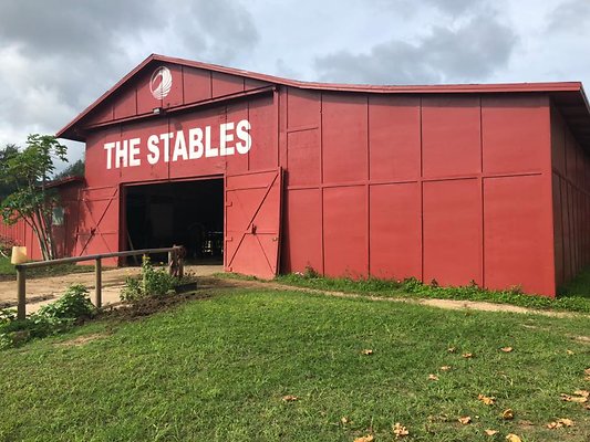 th A5EB8BF7-5502-484A-A37B-394ED10C6CC4