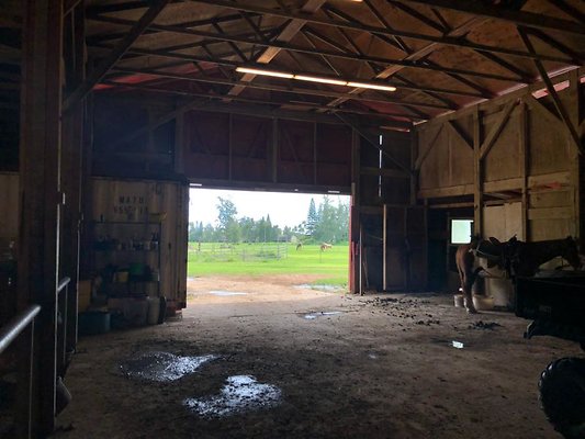 th 36B2DA3B-C04C-4219-9886-8FE45F6C47A4