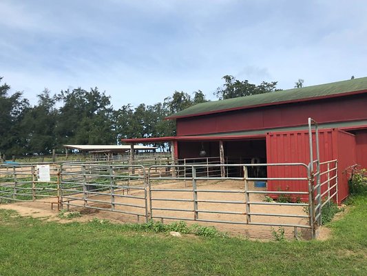 th 29F42FFE-32F4-4FE6-9313-154100E0C017