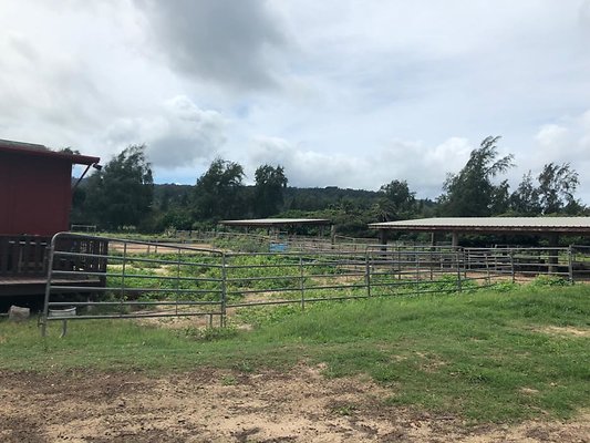 th 8618EB62-6929-40FF-884C-E2D9C5ADF0CB