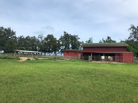 th DC5C7335-033F-4CB8-B90A-744E2CD1B66A