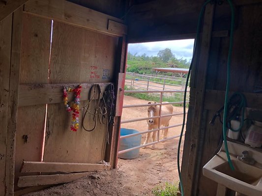 th F1F18885-FA92-49CA-B66F-9898D1E4E8BD