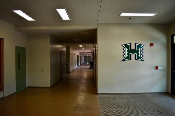 th Ching Stadium Interior   1389
