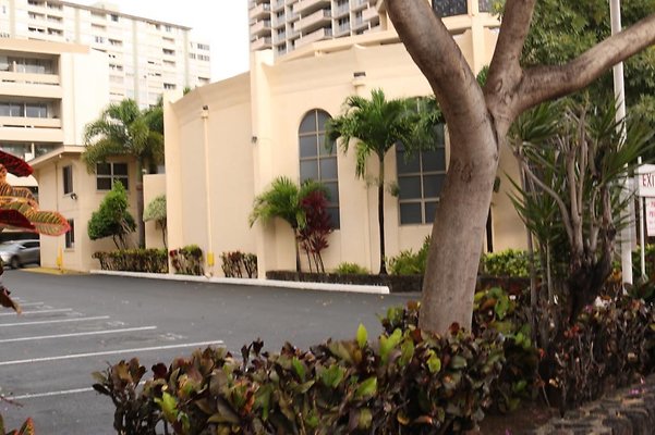 thStsPeterandPaul 24