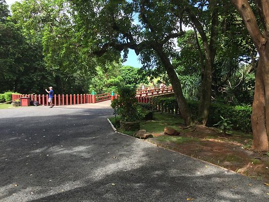 HI50 S6 2015-09-24 14.39.16