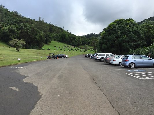 HI50 S6 2015-09-24 14.40.27