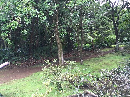 HI50 S6 2015-09-24 14.35.47