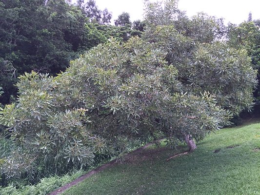 HI50 S6 2015-09-24 13.57.53