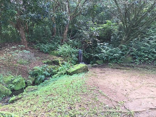 HI50 S6 2015-09-24 14.37.28