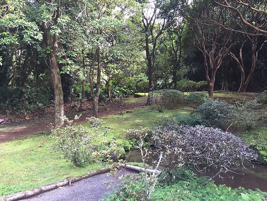 HI50 S6 2015-09-24 14.36.36