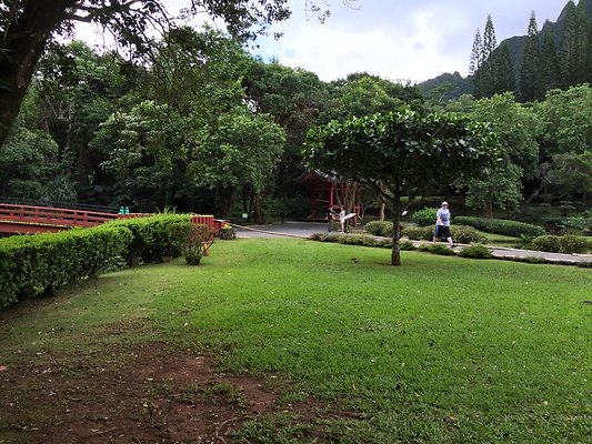 HI50 S6 2015-09-24 13.59.37