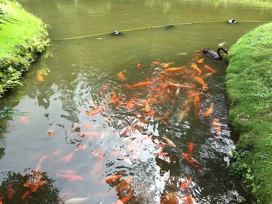 HI50 S6 2015-09-24 14.30.19